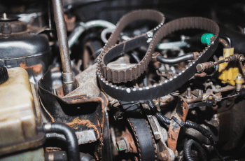 Roopyal Timing Chainbelts